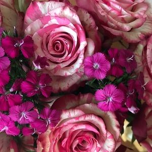 Meet your Posher, Gail